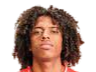 https://img.zye365.com/img/football/player/135ad8787fd13961a93e165e79e736ff.png