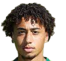 https://img.zye365.com/img/football/player/347a6d58ae7ec0425a4d42bc9215c411.png