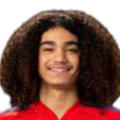 https://img.zye365.com/img/football/player/87359ed9061cfd73513d827263deebcd.png