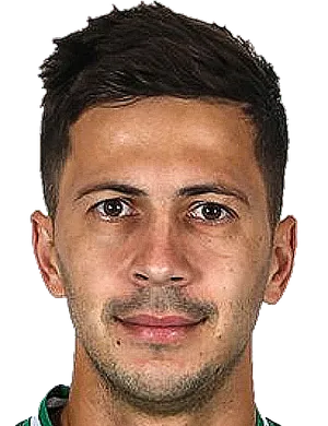 https://img.zye365.com/img/football/player/a7521cae3d55835286cc258209d1ffee.png