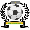 https://img.zye365.com/img/football/team/6dc6d59af2f0962597b412473a6708ee.png