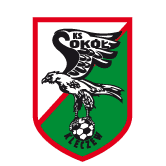 https://img.zye365.com/img/football/team/e6a8908dd206e2ea02d9803c82c60bba.png